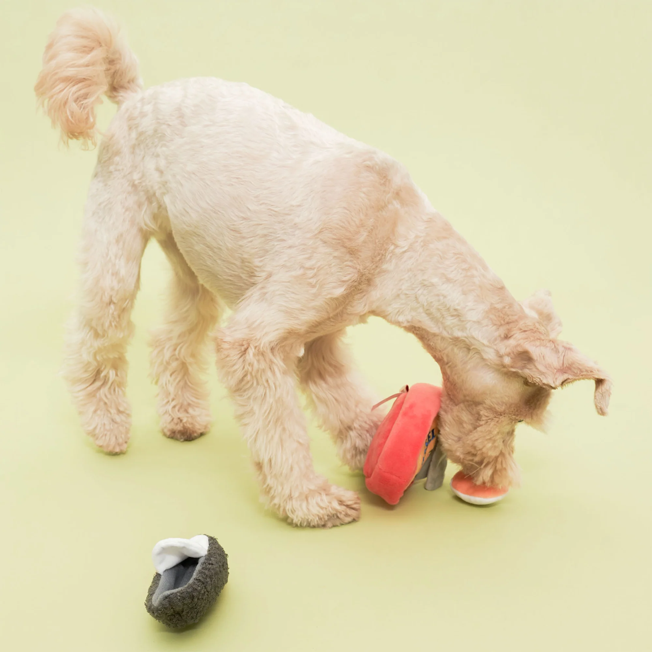 Interactive Nosework Dog Toy with Tinned Mussel Scent - Engaging Scent Training Game for Dogs - Perfect for Indoor & Outdoor Play, Mental Stimulation, and Canine Enrichment Activities