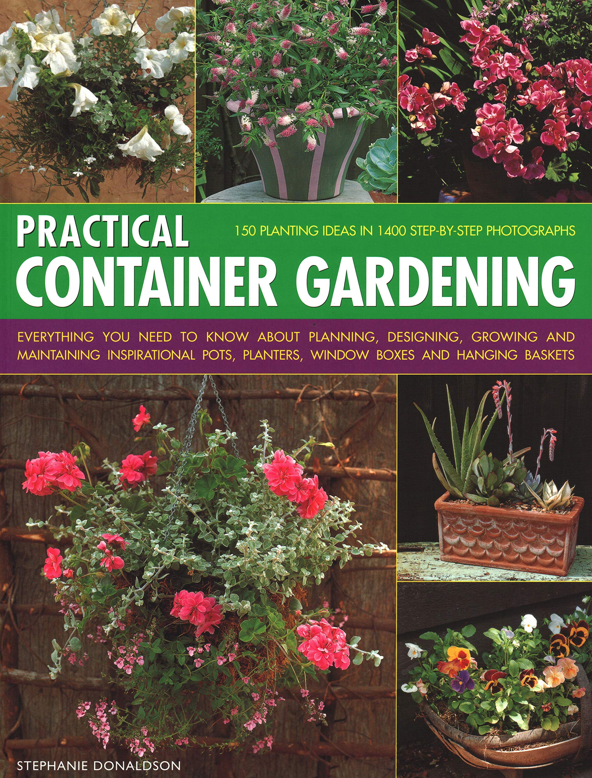 Best Self-Watering Planters for Container Gardening - Indoor & Outdoor Herb Garden, Flower Pots for Balcony, Patio, and Small Space Gardening