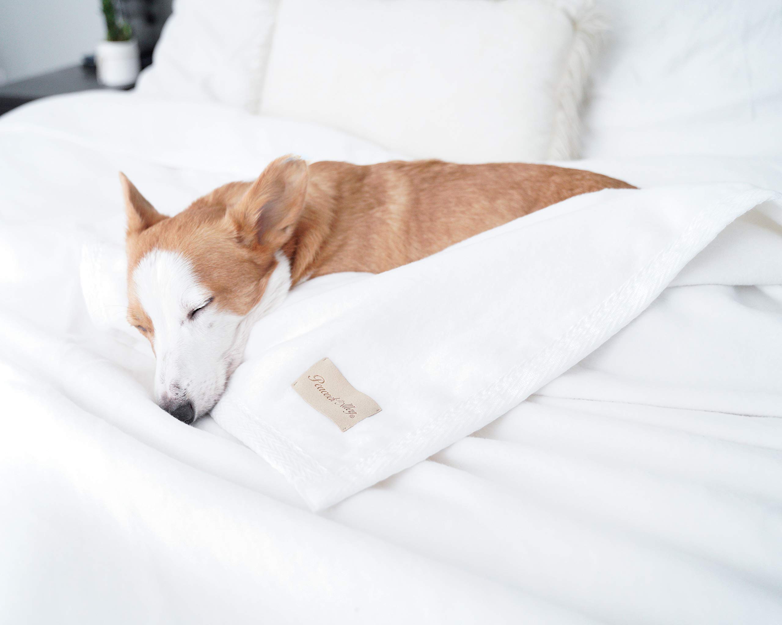 Peacock Alley All Seasons Luxury Cotton Blanket – 100% Long Staple Soft Cozy Cotton Blanket for Sofa, Bed, Crib & Travel - Breathable Throw Blanket for Home, Office & Gifts - White