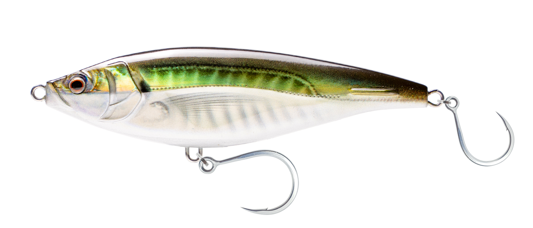 Chartreuse Orange Mackerel