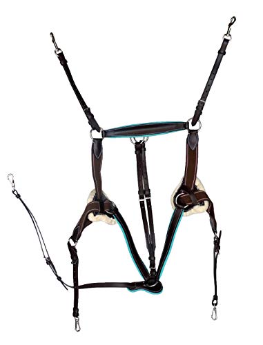 Brown with Teal