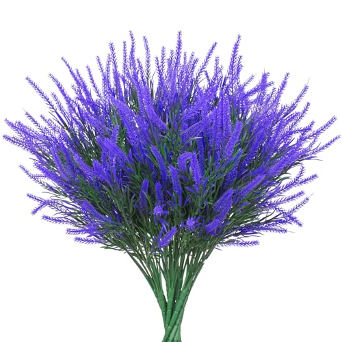 New Style Purple