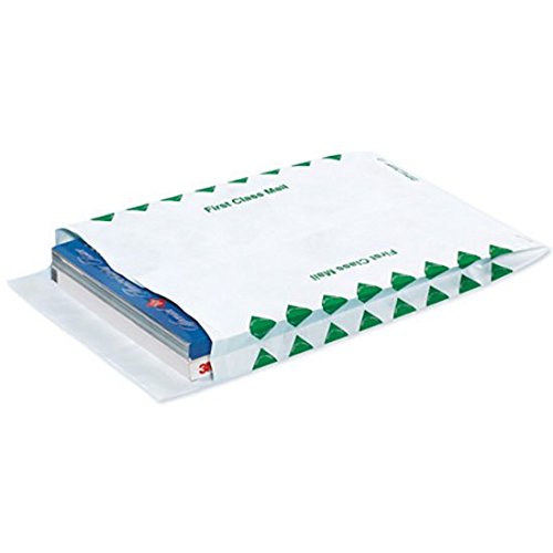 Box King TYE10131FC Expandable Tyvek Envelopes 13x10 Inches - Waterproof & Tear-Resistant Mailing Pouches for First Class Shipping | Perfect for Documents, Photos & Small Packages