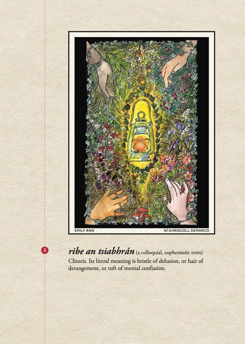 Focail na mBan: Women's Words by Manchán Magan - Irish Language Book for Women's Studies, Cultural Exploration & Gift Ideas
