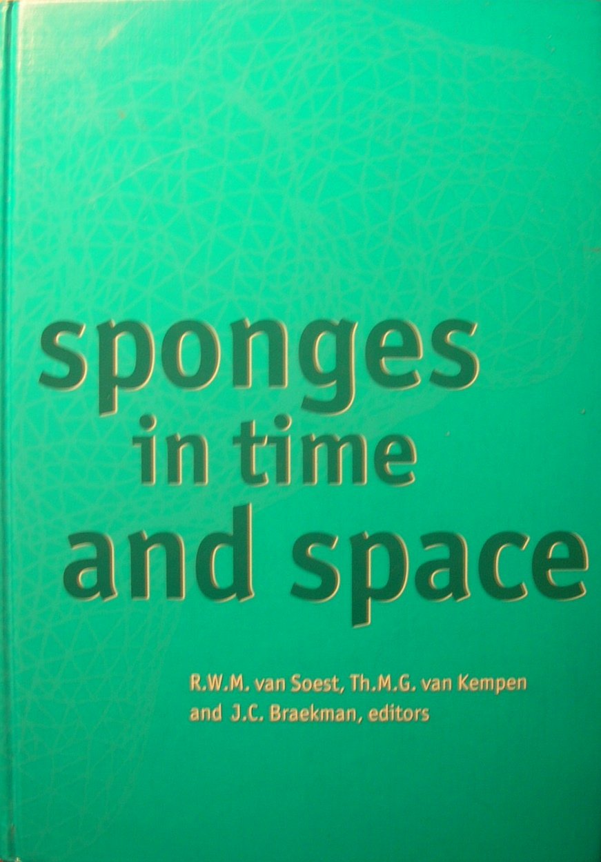 Premium Sponges for Cleaning & Kitchen Use - Durable, Absorbent & Eco-Friendly - Perfect for Dishes, Countertops & Household Chores