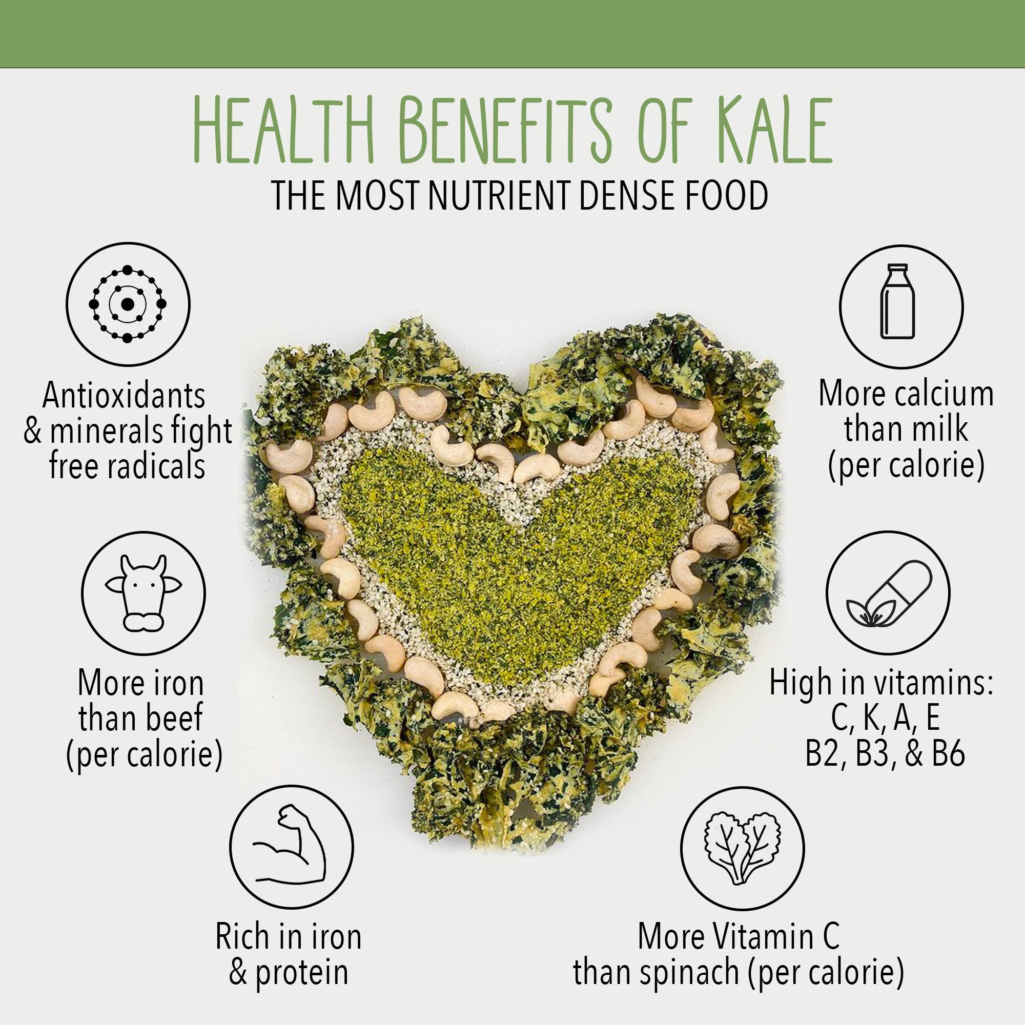 Organic Kale Chips - Sour Cream & Onion Flavor | High Protein Vegan Snack | Gluten-Free, No Sugar or Preservatives | Crunchy Dehydrated Kale Snacks for Healthy Lifestyle, Office Snacking & On-the-Go Nutrition