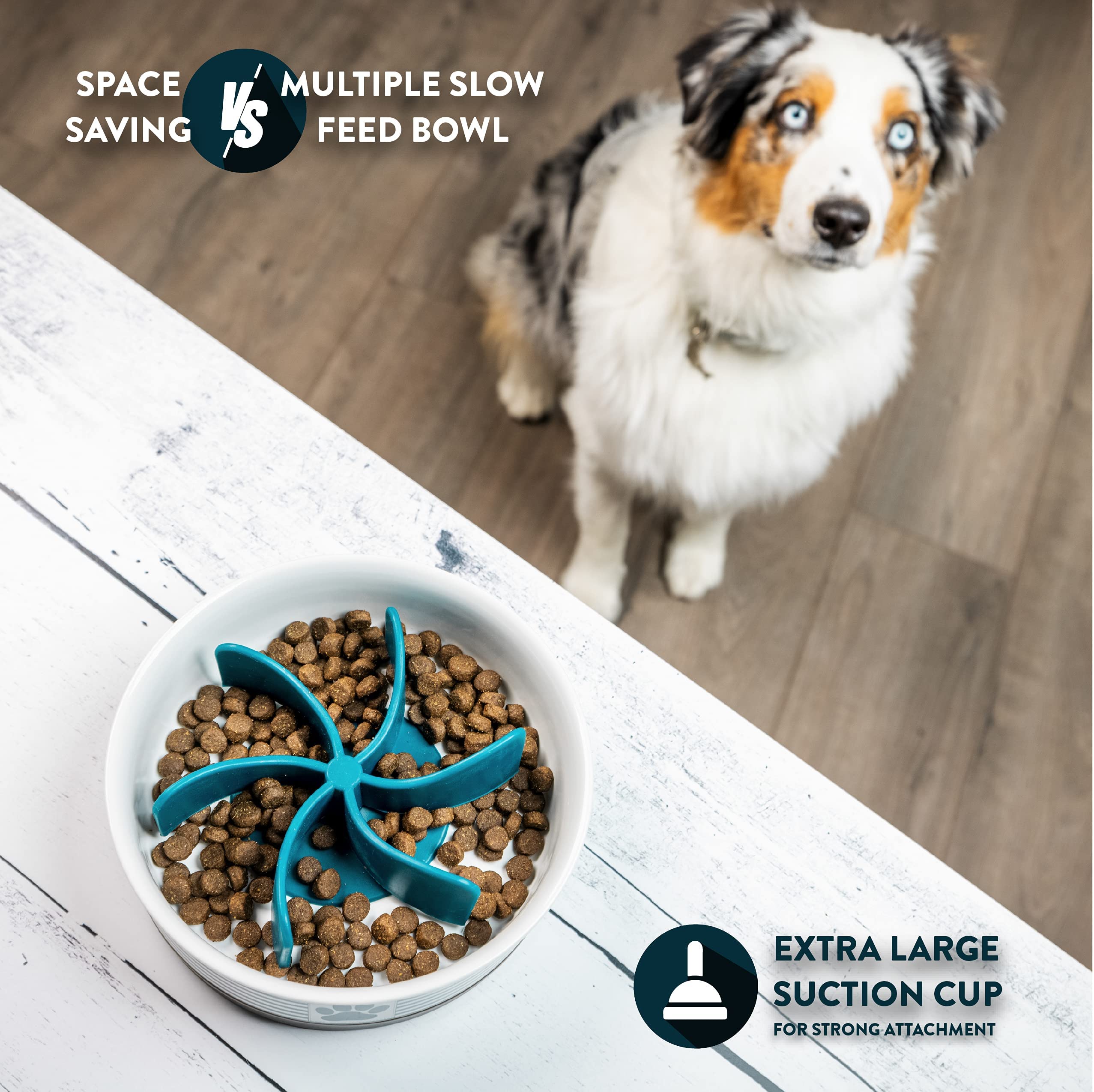 OurPets Spiral Slow Feeder Insert - Convert Any Dog Bowl into a Slow Feeder | Helps Prevent Bloat & Improve Digestion | Great for Fast Eaters & Puzzle Lovers | Perfect for Mealtime Enrichment & Training