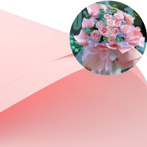 Sakura Pink