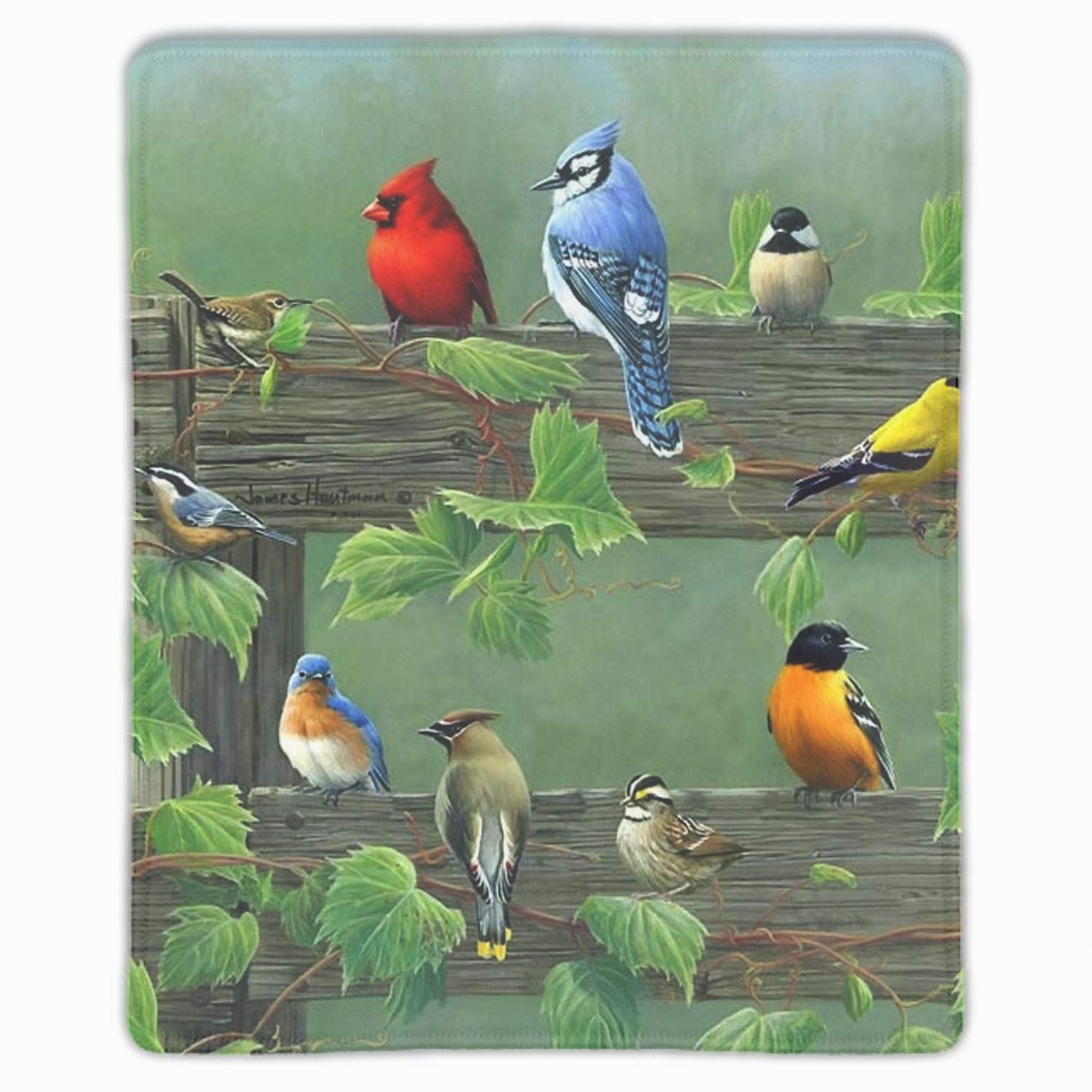 Song Bird Mouse Pad - Extra Thick Non-Slip Gaming Mousepad for PC, Laptop, Office - Cute Bird Design Mouse Mat for Work, Home & Gaming Setup