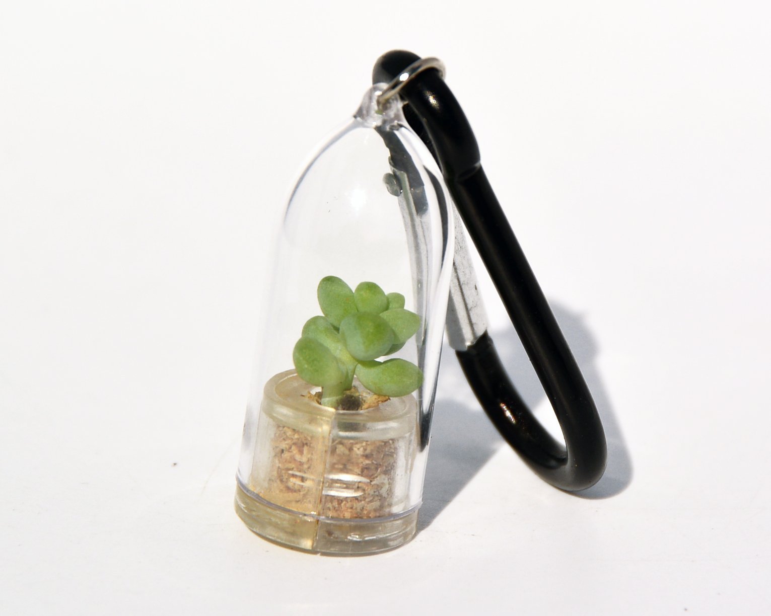 Live Succulent Terrarium Necklace - Bubbly Cactus Plant Pendant with Black Clip | Unique Living Plant Jewelry for Women, Gift for Plant Lovers, Boho Festival Fashion Accessory