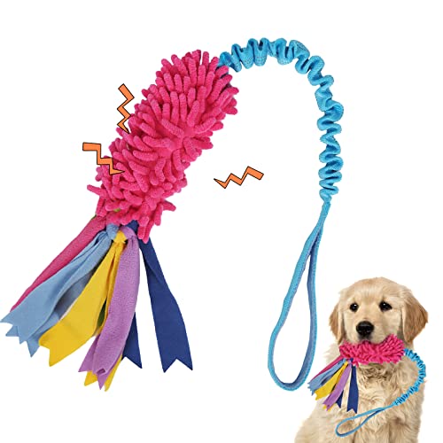 Red Chenille, Blue Webbing