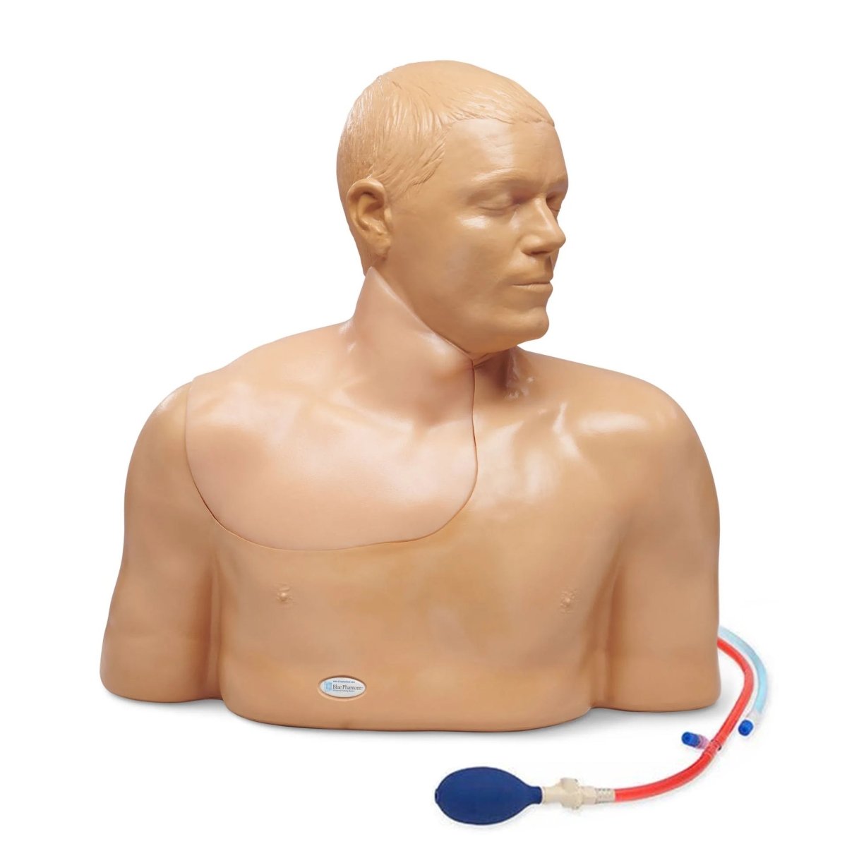 Gen II Ultrasound Central Line Training Model - Medical Simulation Kit for IV Insertion Practice - Perfect for Nursing Students, Doctors & Healthcare Professionals