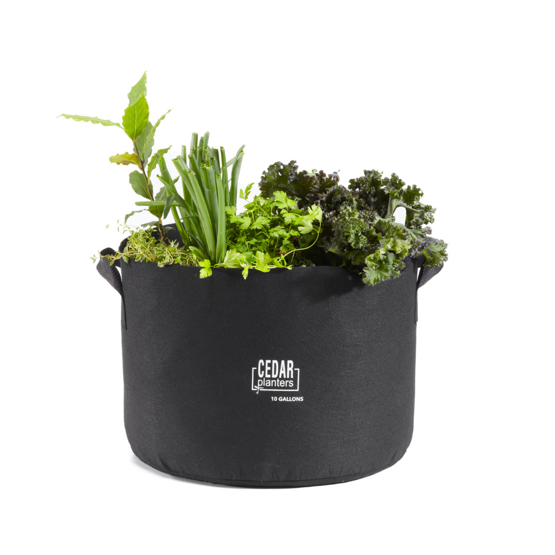 10 Gallon Grow Bags for Plants - Heavy Duty Fabric Pots with Handles for Vegetables, Flowers & Herbs - Ideal for Indoor/Outdoor Gardening, Balcony & Patio Planting