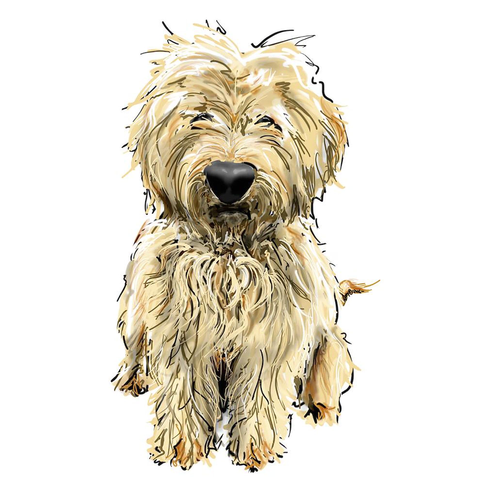 11 oz (325 ml) Ceramic Coffee Mug - Goldendoodle Themed, Perfect for Dog Lovers | Ideal for Home, Office & Gifts