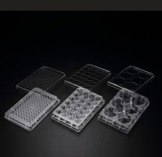 Biologix 3D Cell Floater Plate - 24 Well Polystyrene (PS) Lab Plate 85.4x127.6x20.2mm - Perfect for Cell Culture & Spheroid Research in Life Science Laboratories