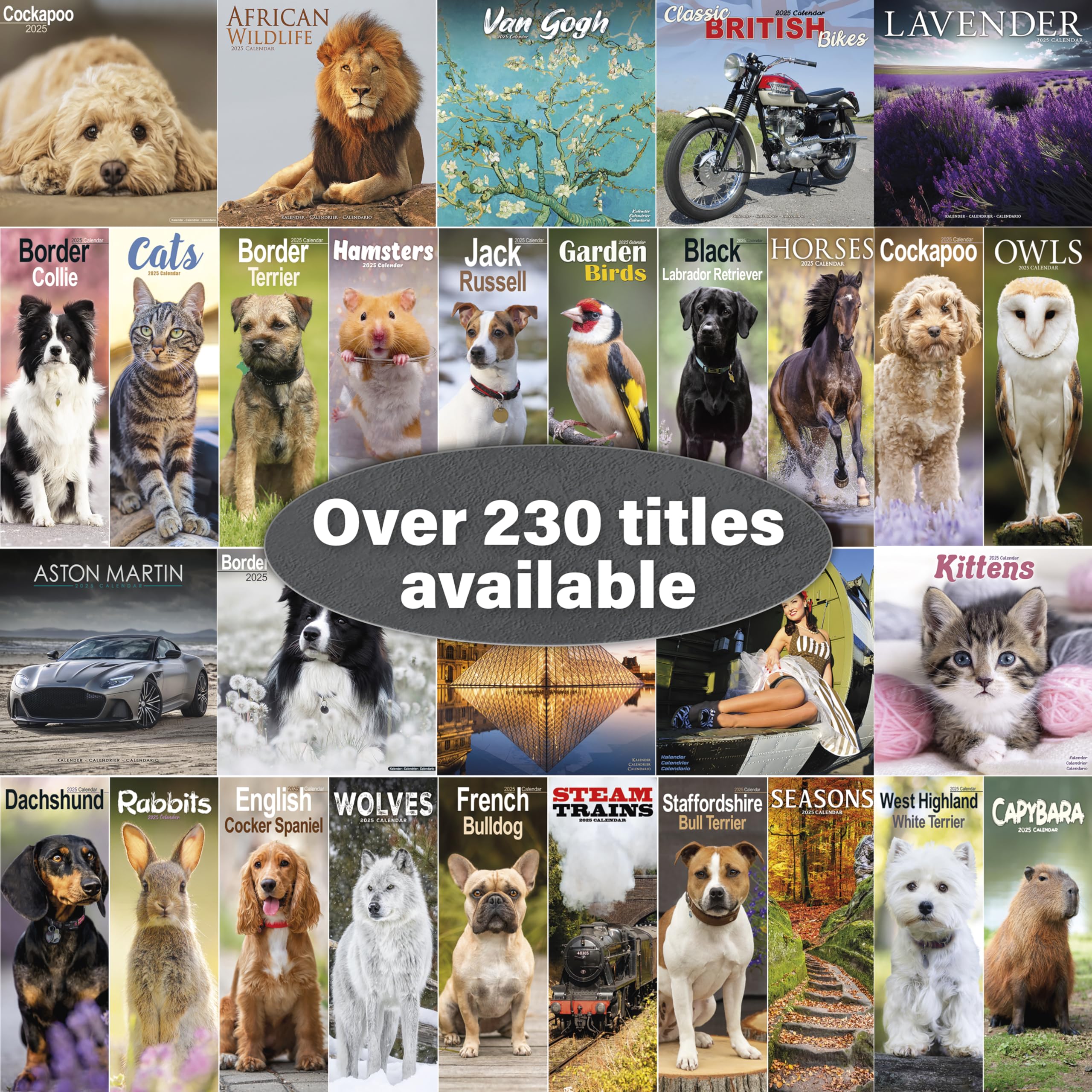 2025 Shiba Inu Dog Breed Wall Calendar - 16 Month Square Planner with Cute Puppy Photos | Perfect for Pet Lovers, Home & Office Decor, Gift Idea for Dog Owners