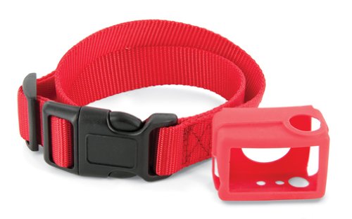 PetSafe Big Dog Spray Bark Control Collar - Anti-Bark Training Device for Large Dogs with Adjustable Spray - Safe & Humane Behavior Correction for Outdoor, Home & Neighborhood Use