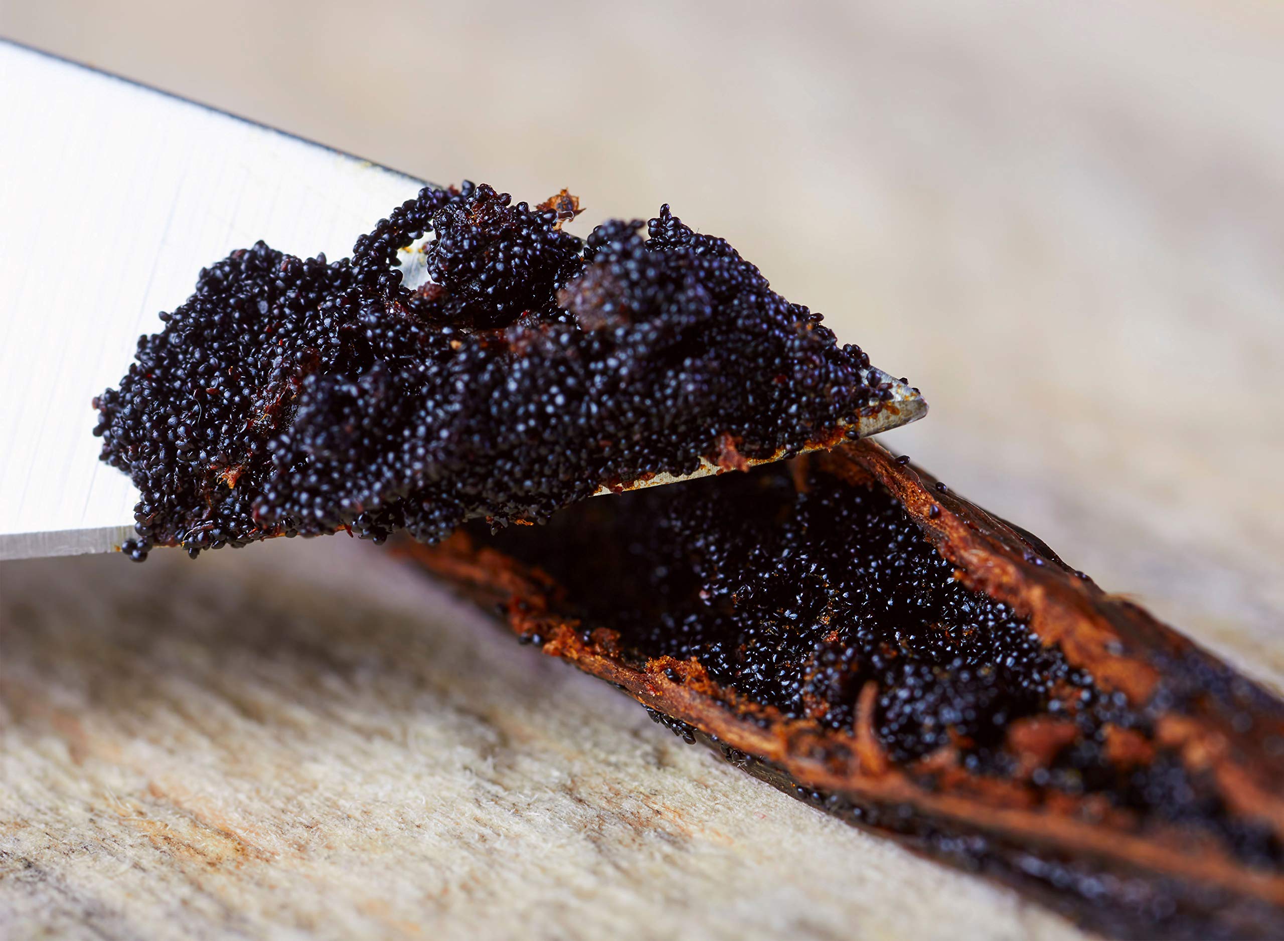 Premium Grade A Tahitian Vanilla Beans - 1/2 LB Whole Gourmet Pods for Homemade Vanilla Extract, Baking, Cooking & Desserts | Perfect for Ice Cream, Coffee, Cocktails & DIY Gifts