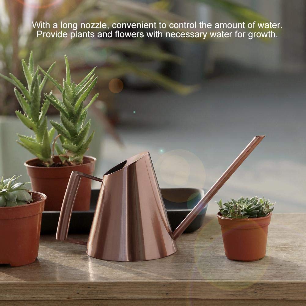 Stainless Steel Watering Can for Indoor Plants - Long Narrow Spout Bonsai Flower Pot for Home, Garden, Patio & Yard | Perfect for Delicate Watering of Houseplants, Succulents & Small Gardens