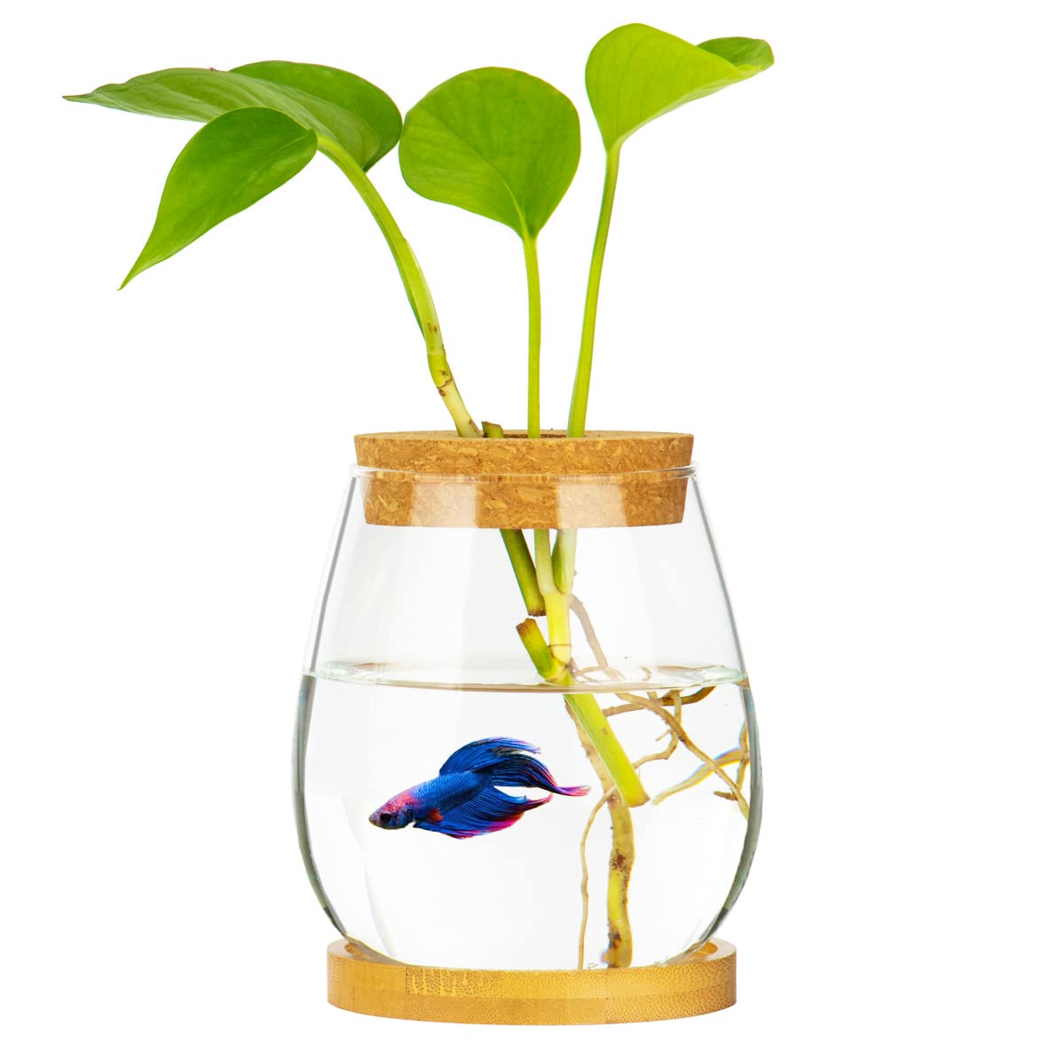 Clear Glass Desktop Fish Bowl with Wood Lid & Bamboo Stand - Small Betta Fish Tank for Plants, Terrarium - Perfect Home Office Decoration & Unique Gift Idea for Aquarium Lovers (Ideal for Desk Decor, Zen Spaces & Small Pet Habitats)