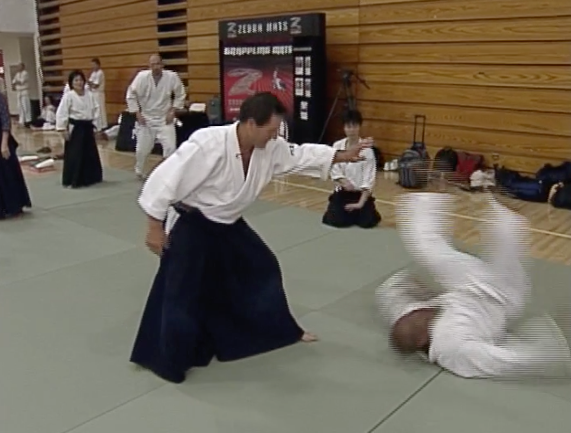 Aikido Odyssey DVD by Christian Tissier - Master Aikido Techniques & Training | Perfect for Martial Arts Enthusiasts & Home Practice