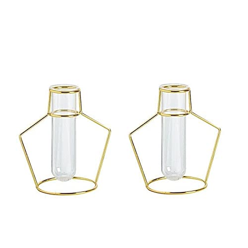 2 Pack Gold Geometric Flower Vase Holders with Clear Glass Tubes - Modern Floor Vases for Wedding, Home Decor, Living Room Centerpiece - Perfect for Roses, Tulips, and Floral Arrangements