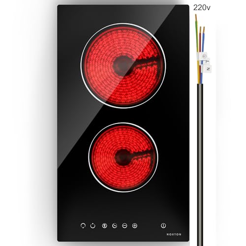 220v No Plug 2 Burners