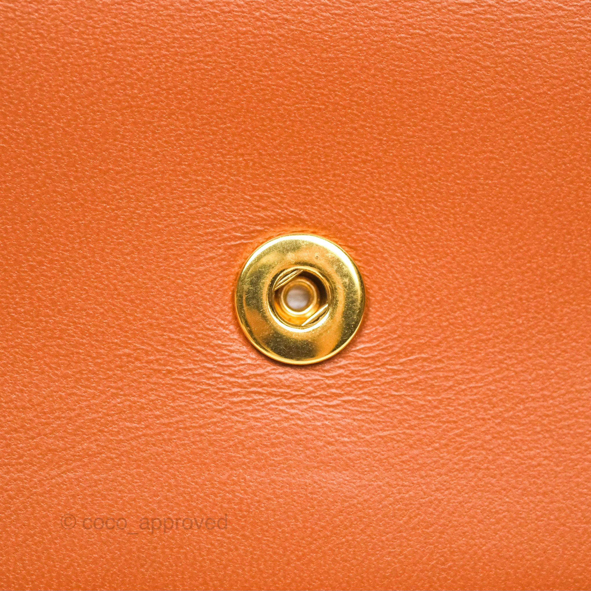 Celine Triomphe Canvas Wallet On Strap - Tan Lambskin Crossbody Bag for Women | Fashionable Everyday Purse for Work, Travel & Date Night
