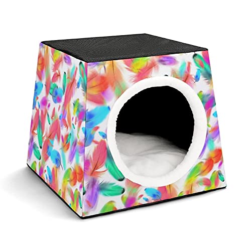 Color11