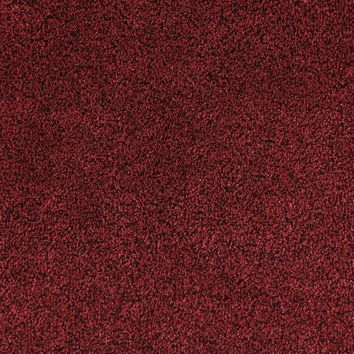 Burgundy Red-black