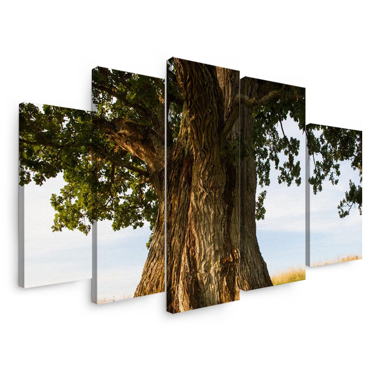 5 Panels Canvas Wall Art - Magnificent Great Trees Dusk Meadow Blue Sky Clouds Print - Modern Stretched Canvas Painting with Wooden Frame - Ready to Hang - Perfect for Bedroom, Living Room & Office Decor
