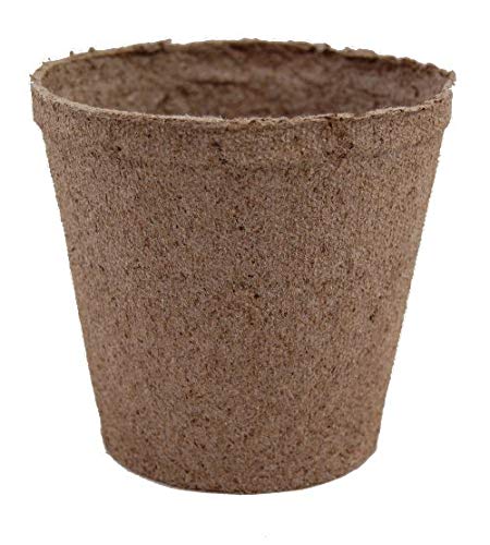 Jiffy Peat Pots 6 Inch Round Deep Biodegradable Seed Starter Pots - 198 Count Case | Ideal for Seedlings, Herbs & Indoor Gardening | Eco-Friendly Plant Growing Solution