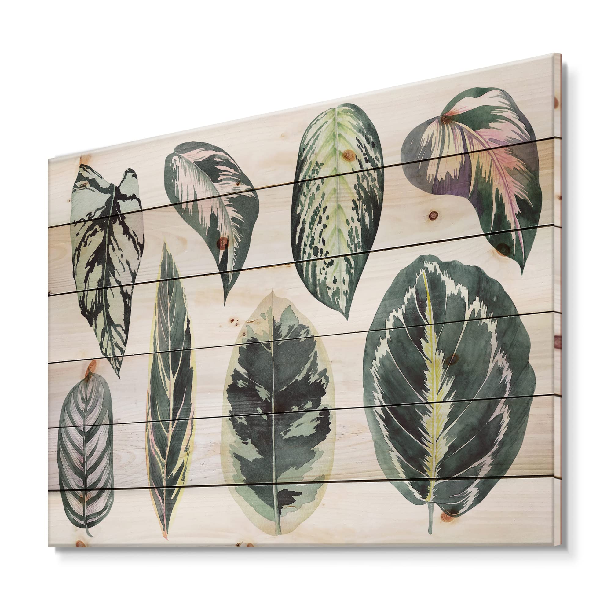 Bohemian Tropical Calathea Leaves Wood Wall Decor - Large Eclectic Animal Panels Printed on Natural Pine Wood - Perfect for Living Room, Bedroom, or Office Wall Art