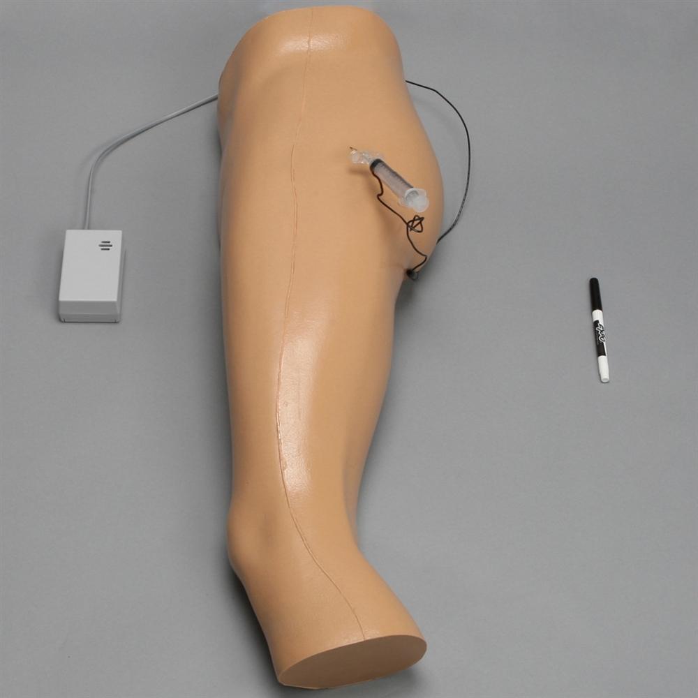 Hip Injection Model - Medical Training Simulator for Injection Practice | Ideal for Nursing Students, Doctors & Healthcare Professionals
