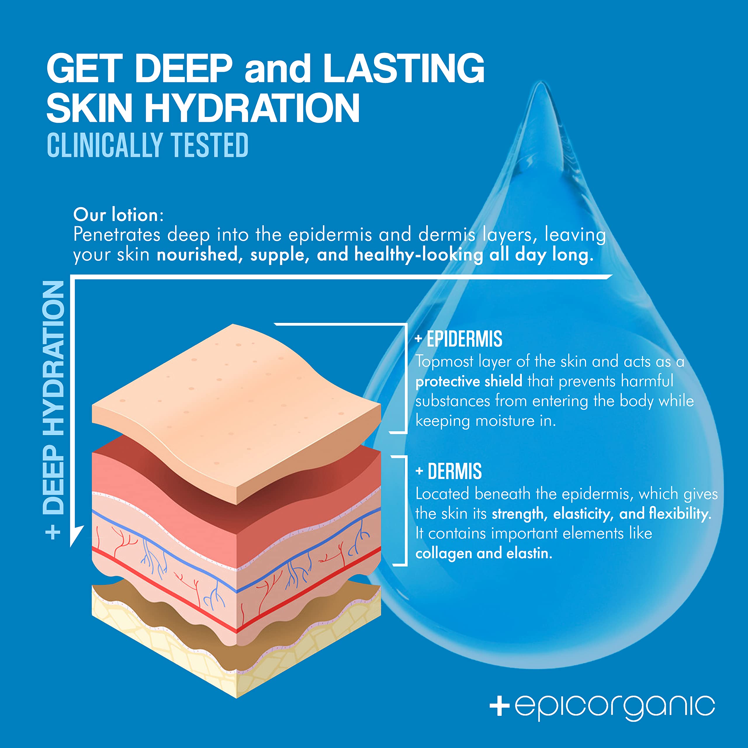 After Sun Daily Moisturizer & Repair Cream with Vitamin E | 24-Hour Hydration for Sunburned & Sun-Exposed Skin | Improves Skin Texture & Soothes Irritation | Fragrance-Free Face & Body Lotion for Men & Women | 8 oz | Perfect for Post-Sun Care, Beach Days & Outdoor Activities