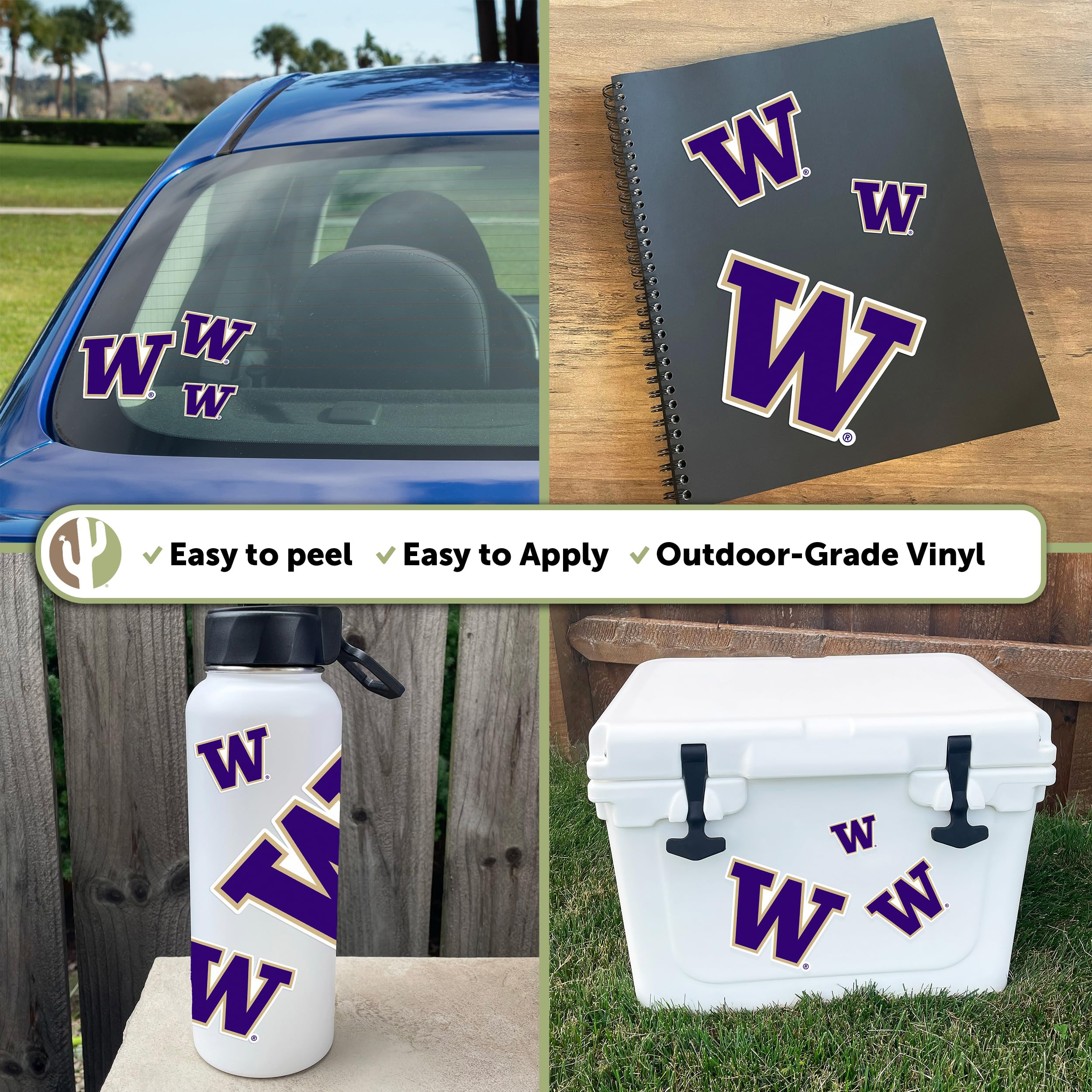 UW Huskies Vinyl Decals - University of Washington Stickers for Laptop, Water Bottle, Car & Scrapbook - Desert Cactus Design - Perfect for School Spirit, College Gifts & Fan Decor