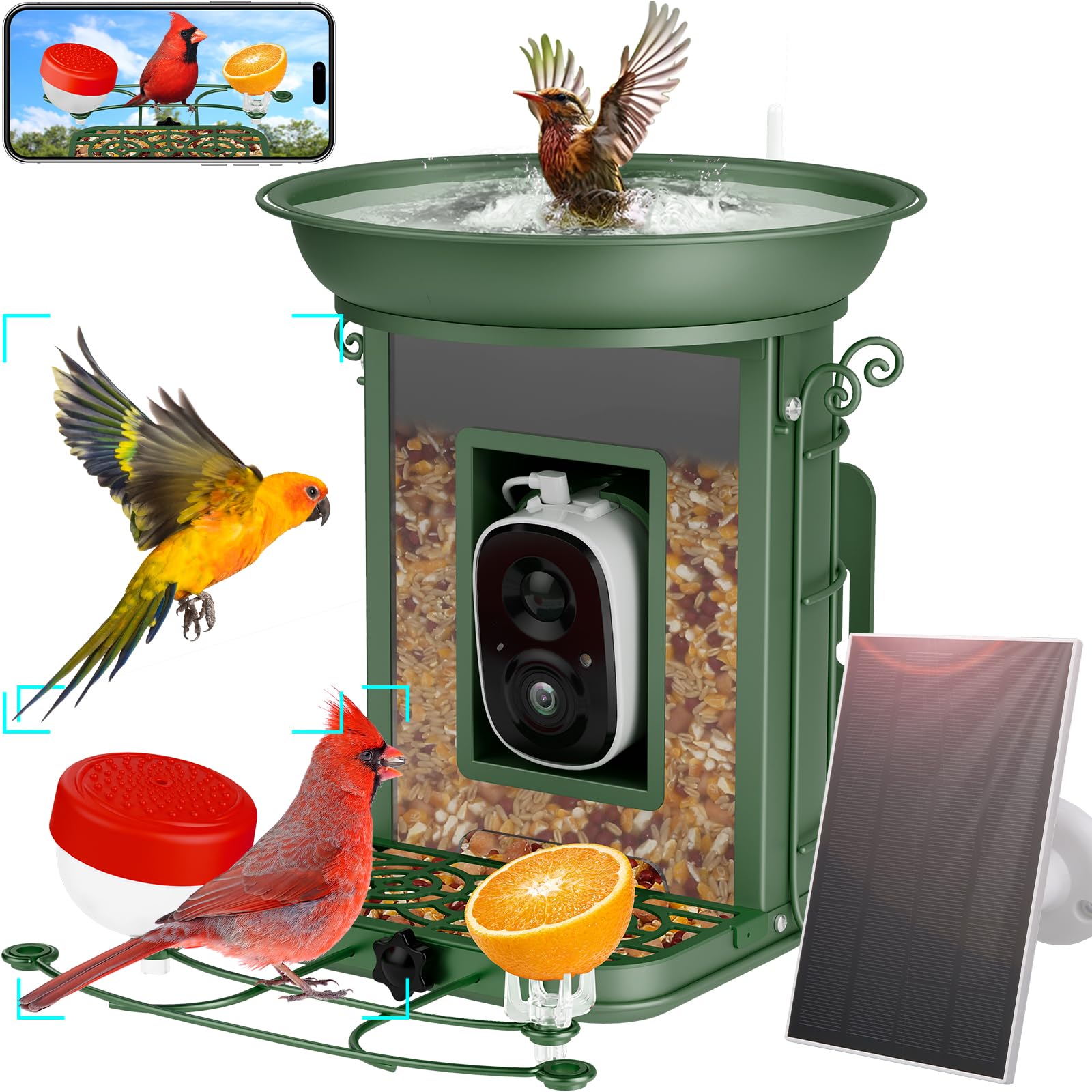 Smart Bird Feeder with 2K HD Camera - AI-Powered Bird Identification for 11,000+ Species | Live Video Streaming & Outdoor Wildlife Watching | Perfect Gift for Bird Lovers & Nature Enthusiasts (Use in Backyards, Gardens & Nature Exploration)
