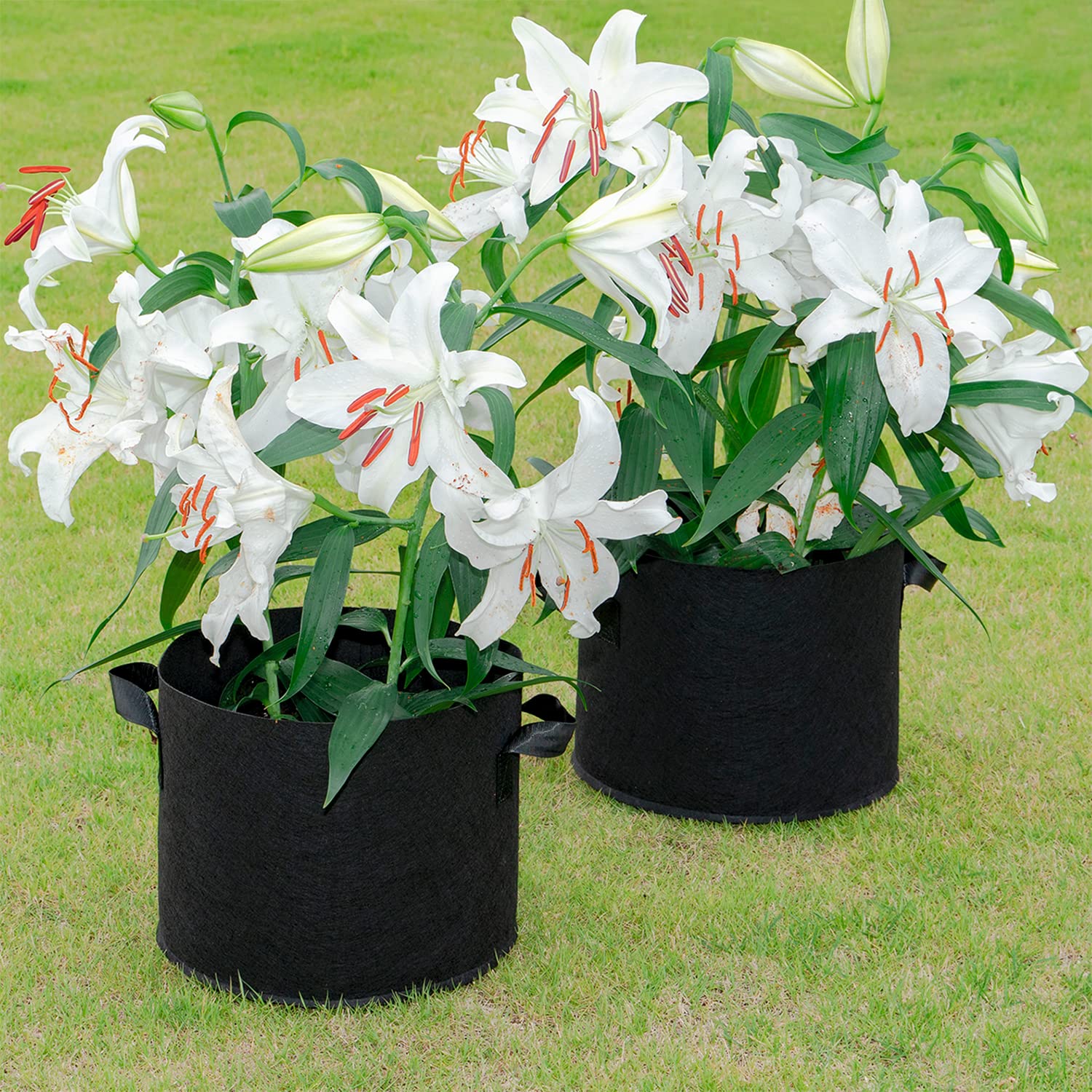 Astro Garden Pot - Black No. 10 Non-Woven Felt Planter with Handle for Indoor/Outdoor Plants - Perfect for Kitchen Herb Garden, Balcony Gardening & Home Decor (520-35)