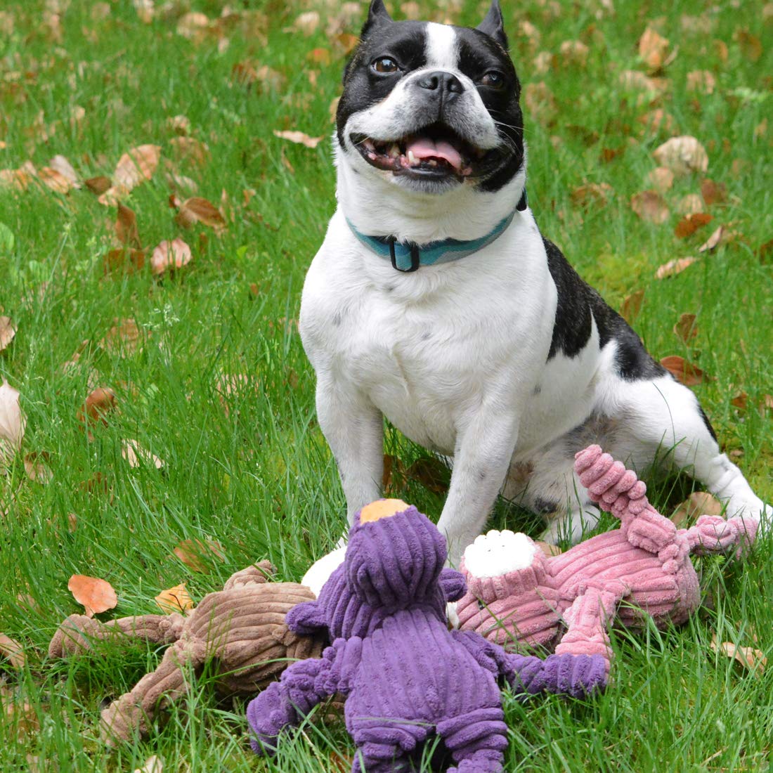 Durable Squeaky Plush Dog Toys - Super Soft Chew Toys for Small & Medium Dogs | Fun Interactive Play for Puppies & Adult Dogs | Perfect for Indoor Playtime, Training Rewards & Cuddle Time