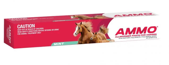 Equine Ivermectin Paste 32.5g - Horse Dewormer for Small & Large Strongyles, Pinworms, Roundworms - Safe & Effective Parasite Control for Adult Horses - Ideal for Barn, Stable & Pasture Use