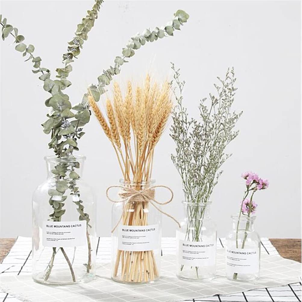 1PC Glass Bud Vase Set - Clear Apothecary Jars for Wedding Centerpiece & Home Decor