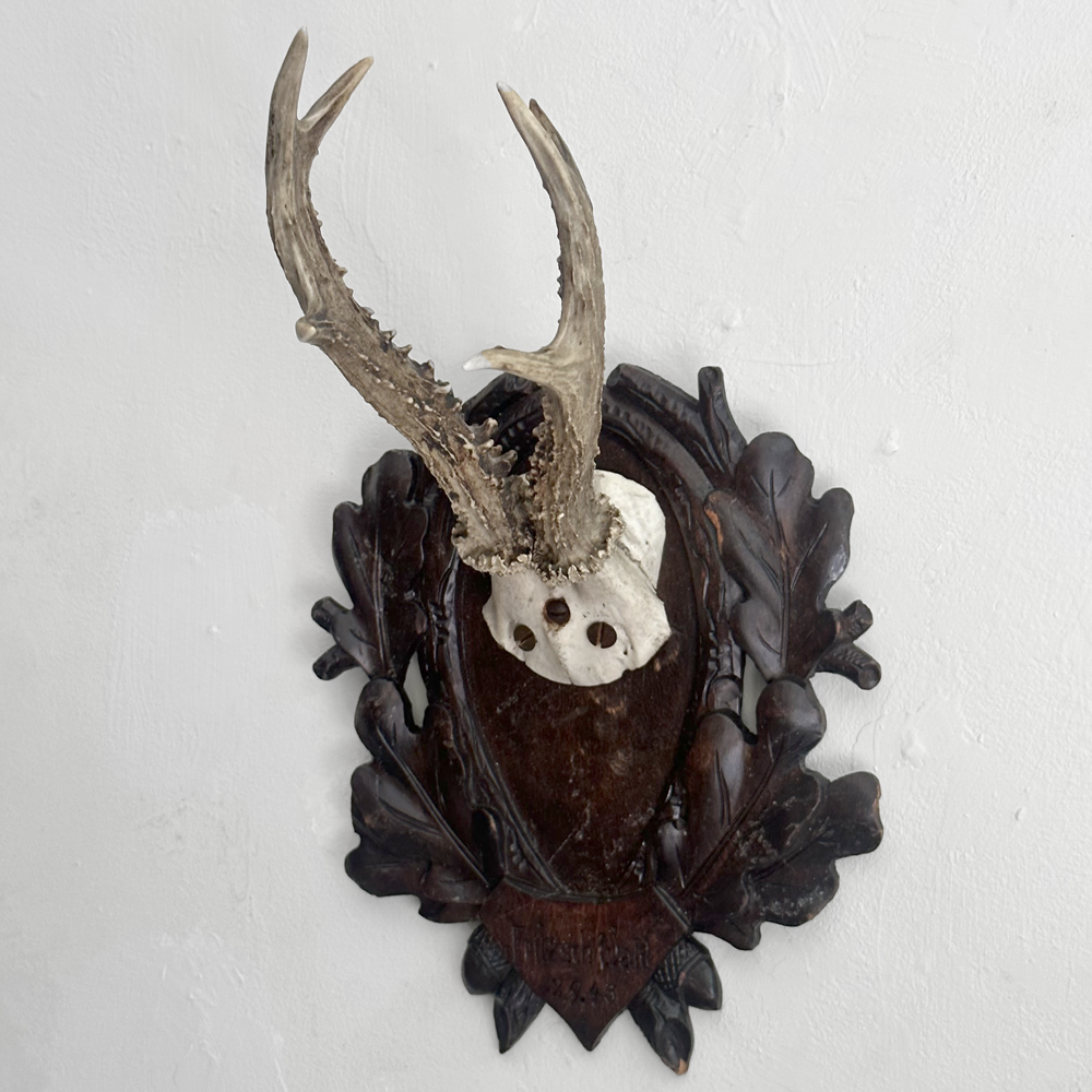 Black Forest Antlers on Carved Wood Plaque - Handcrafted Deer Antler Wall Decor for Hunting Lodge, Cabin & Rustic Home Decor - Perfect for Living Room, Study or Man Cave
