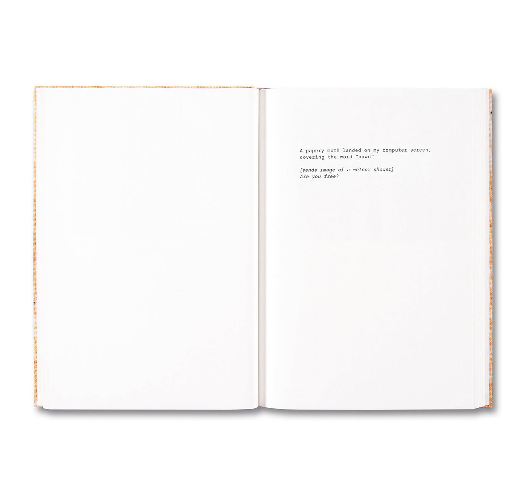 ANOTHER ONLINE PERVERT by Brea Souders - Contemporary Art Photography Book for Collectors - Perfect for Modern Art Lovers and Photography Enthusiasts
