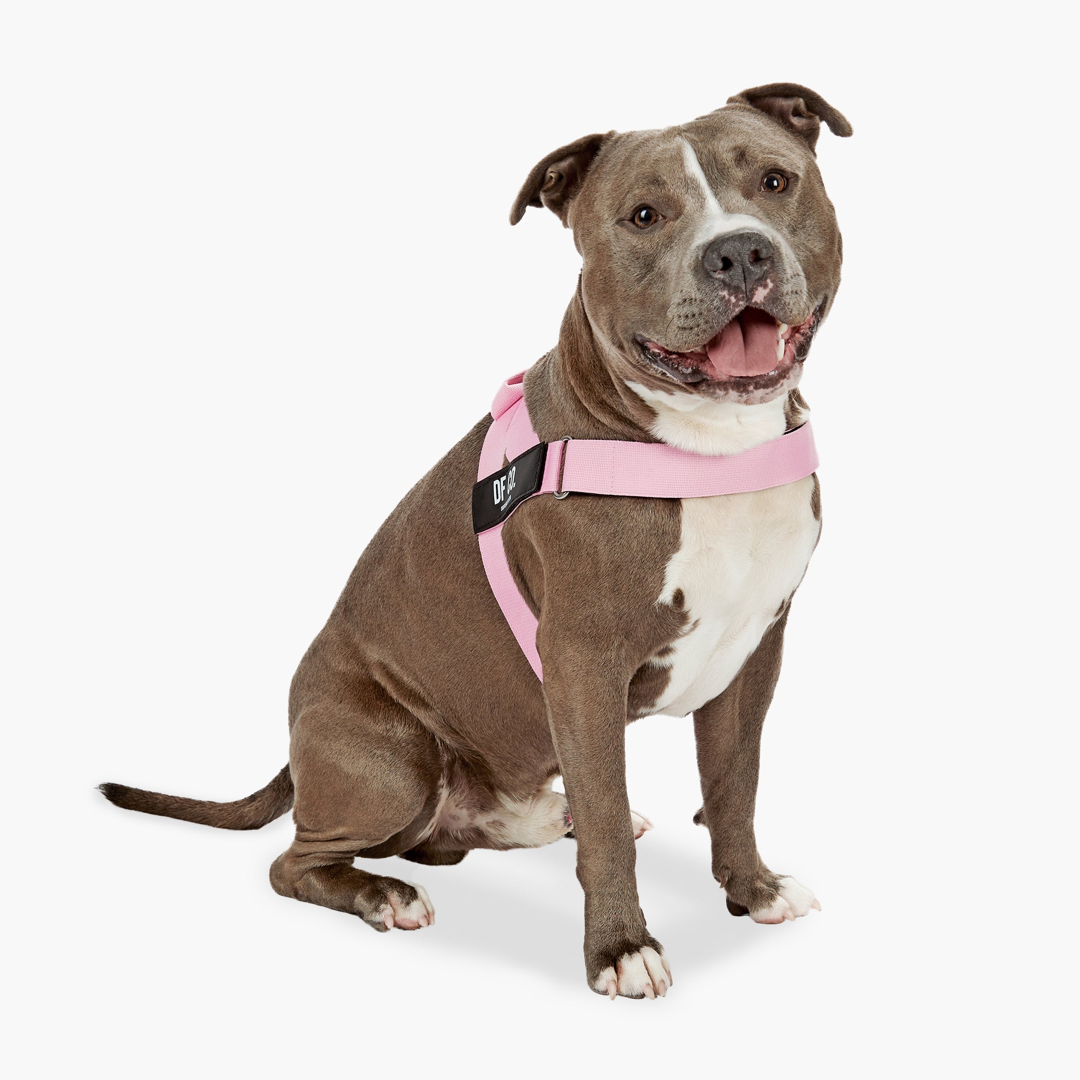 Premium Pink Dog Harness - Adjustable & Breathable for Small to Large Dogs - Perfect for Walking, Running & Outdoor Adventures