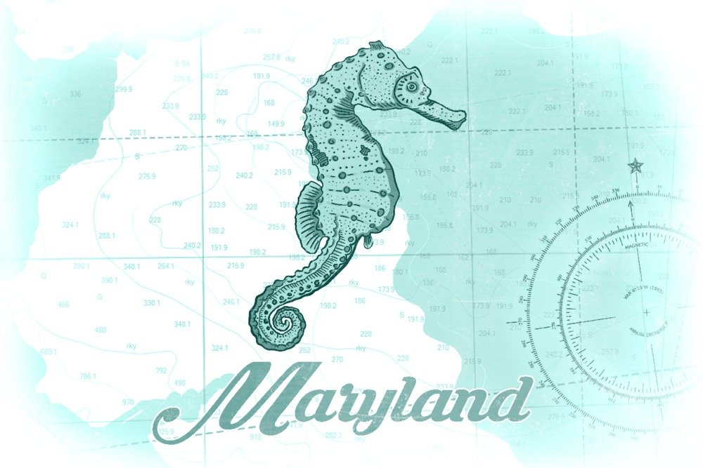 Maryland Seahorse Teal Coastal Icon - 16x24 Gallery Quality Metal Wall Art, Aluminum Home Decor for Beach House, Coastal Living Room & Nautical Themed Spaces