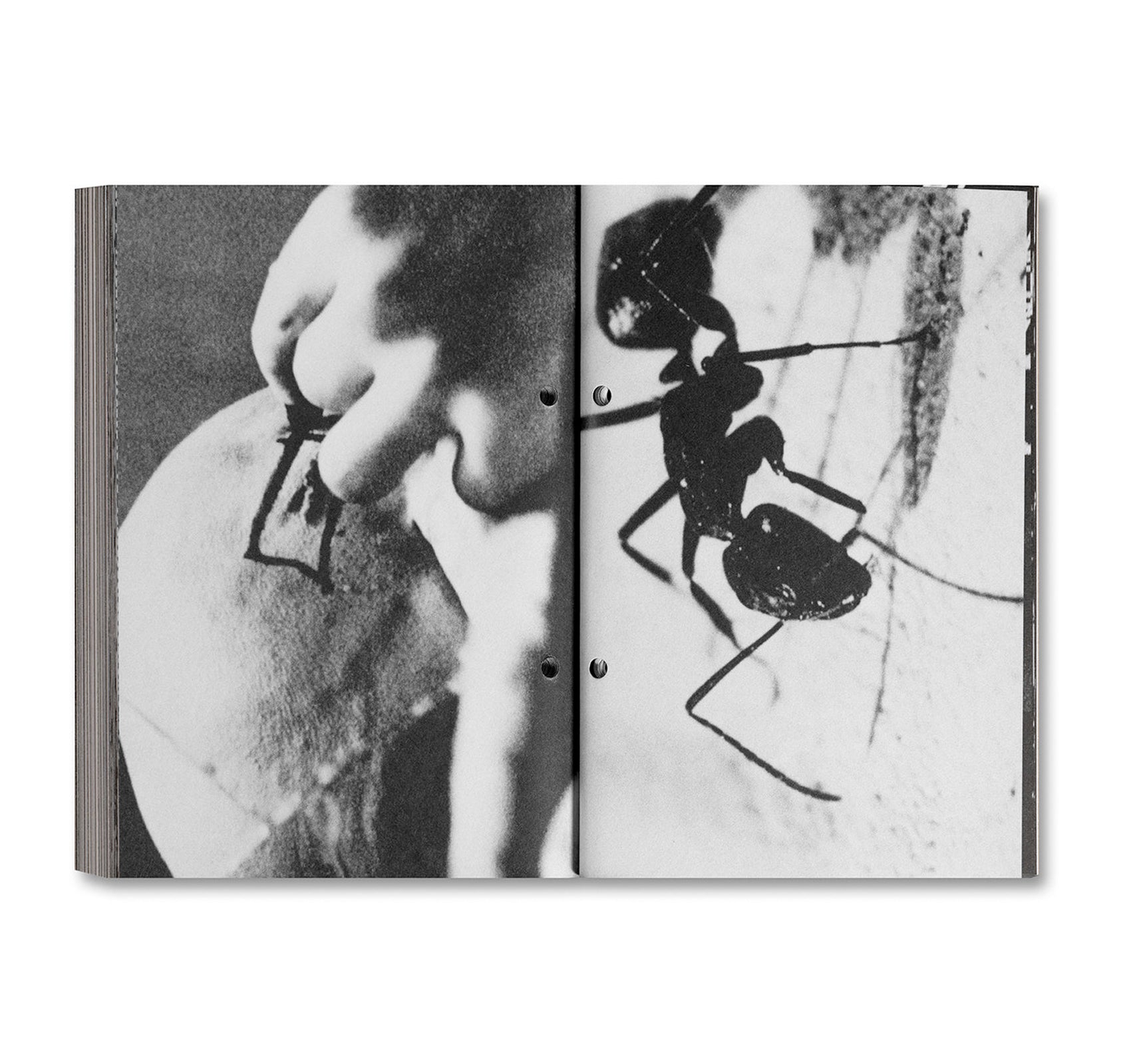 PI: The Guerrilla Diaries by Darren Aronofsky - Exclusive Limited Edition Art Book | Perfect for Film Students, Movie Collectors & Psychological Thriller Fans