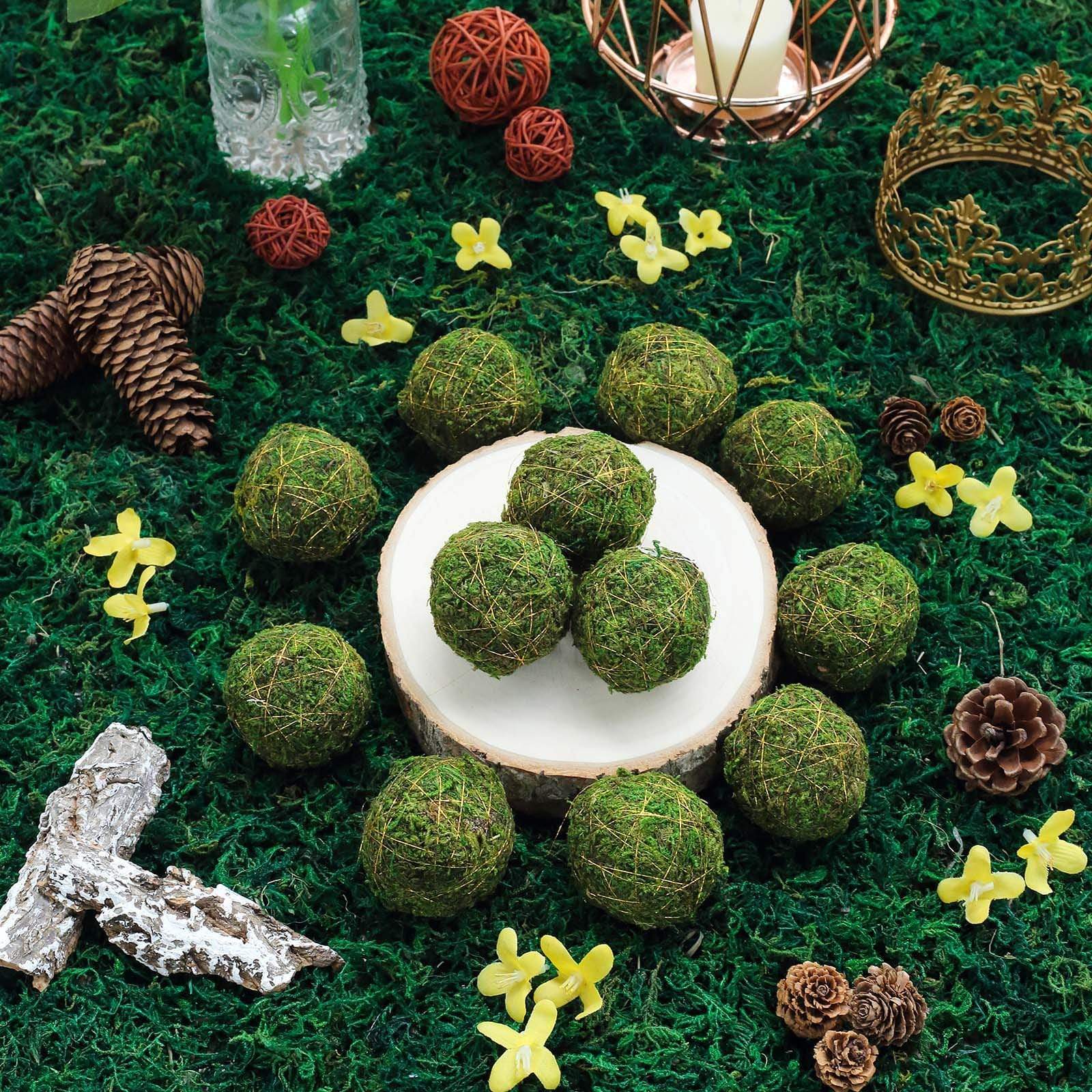 12 Pack Natural Moss Ball Ornaments with Gold String - Vase Fillers for Home Decor, Terrariums, and Wedding Centerpieces - Green Decorative Balls for DIY Crafts and Floral Arrangements