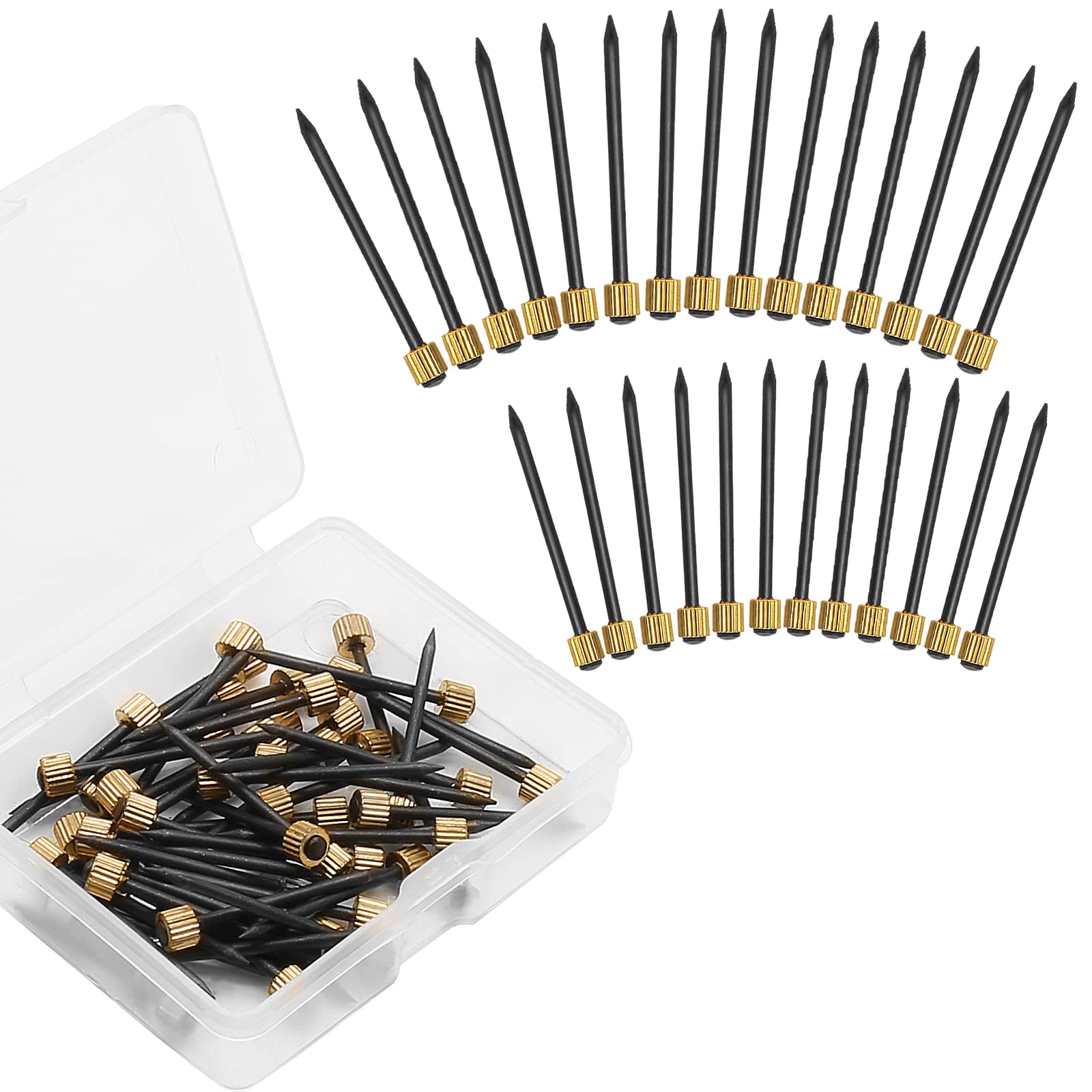 Litoexpe 100Pcs Black Steel Picture Hanging Nails with Brass Heads - Heavy Duty Wall Hooks for Frames & Paintings (5-30 lbs) - Includes Storage Box - Perfect for Home Decor, Gallery Walls & Office Art Displays