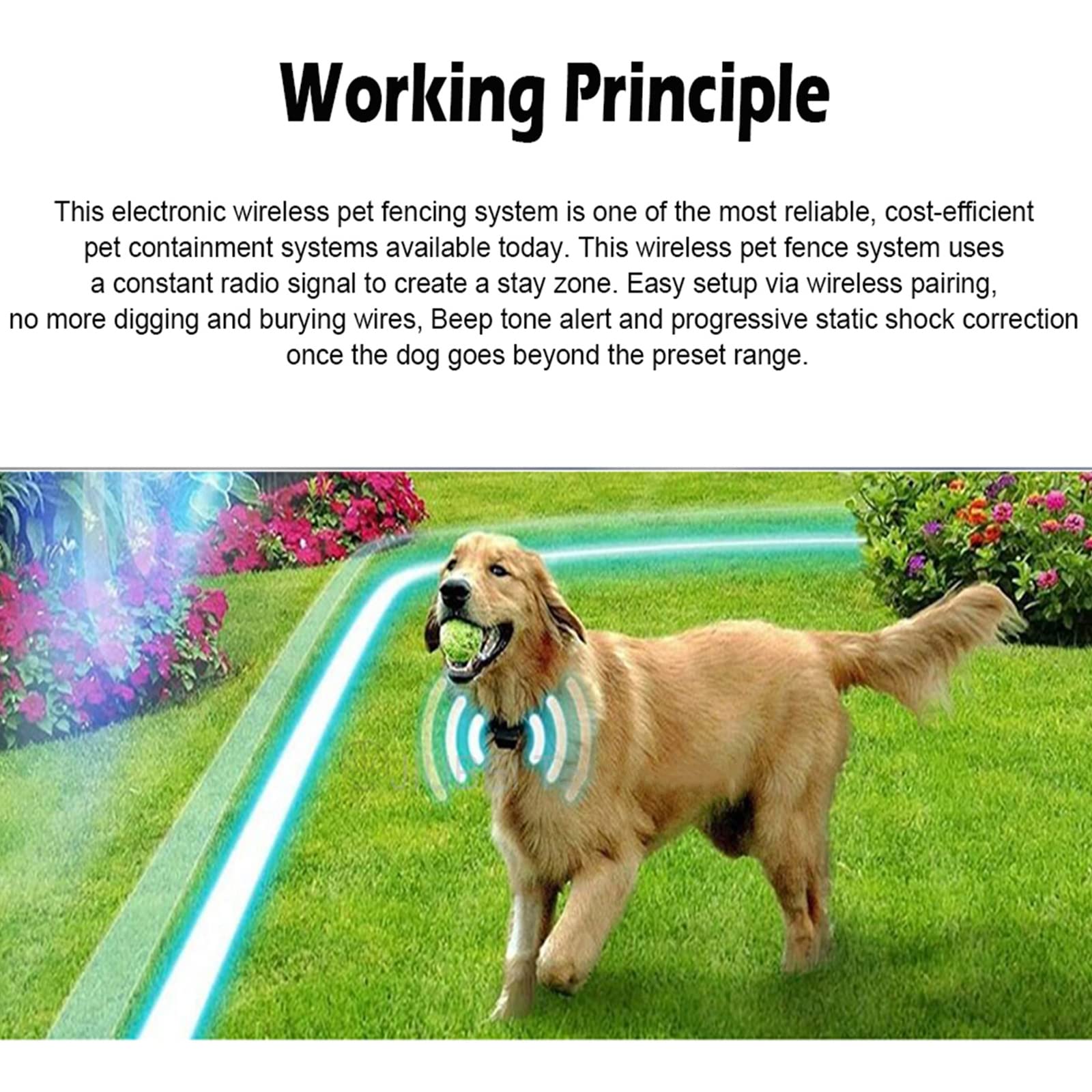 Wireless Electric Dog Fence System - Adjustable 1640ft Pet Boundary Containment with Training Collar Receiver | IP67 Waterproof & Rechargeable | Safe & Harmless for Dogs | Ideal for 2 Dogs | Perfect for Backyard, Garden & Large Outdoor Spaces