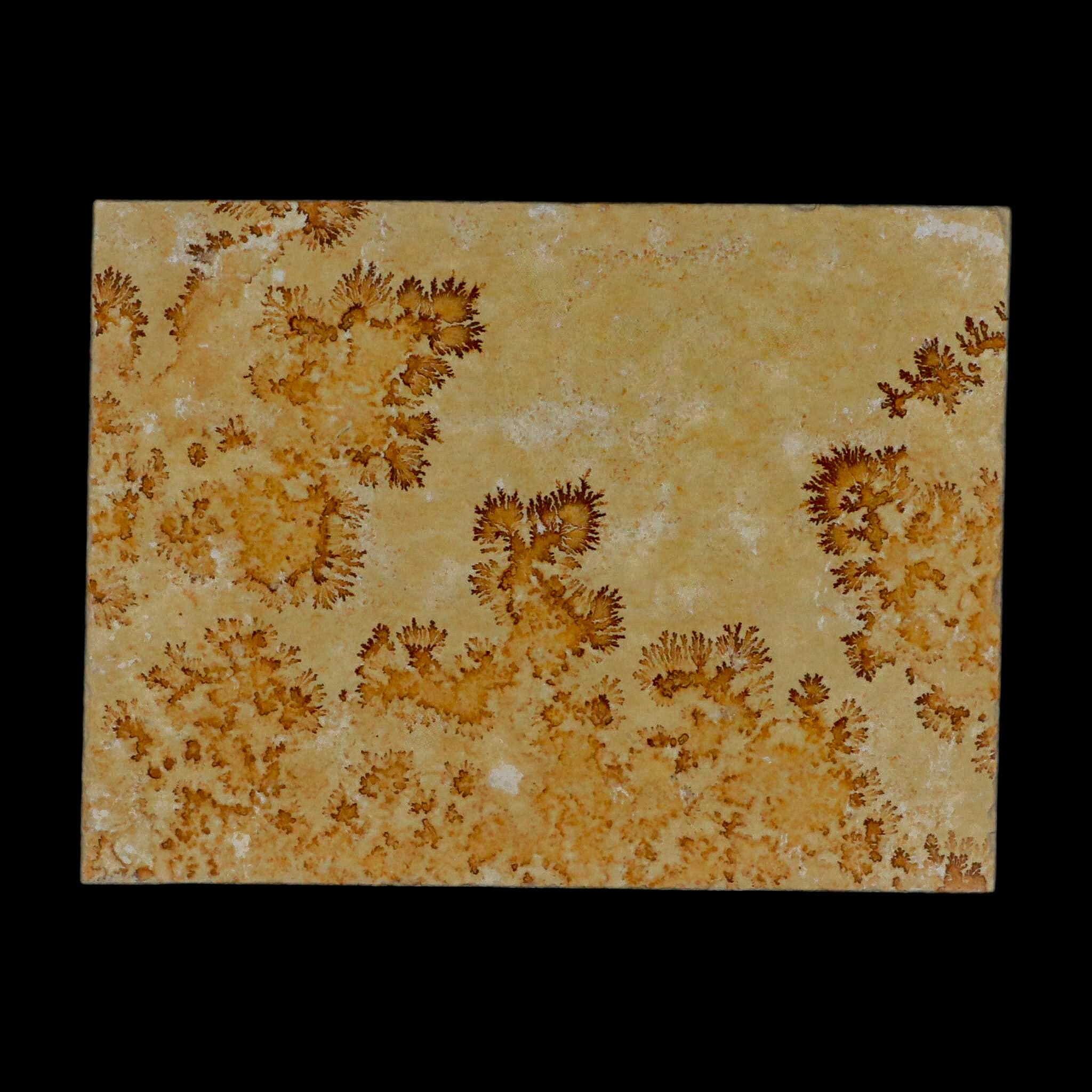 3.1 Pyrolusite Dendritic Sandstone Fossil - Solnhofen Upper Jurassic Age Specimen from West Germany | Perfect for Geology Collections, Educational Displays & Home Decor